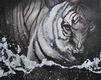 Blanc tiger  80 100